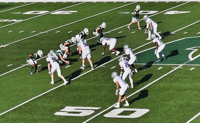 发观众的反 发观众的反