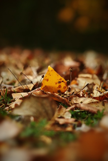 作为一名稳 作为一名稳