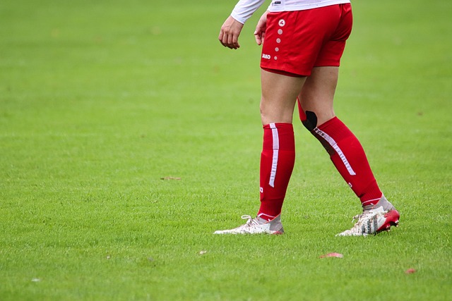 尼亚的组合 尼亚的组合