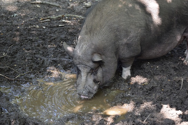 卷欧洲足坛 卷欧洲足坛