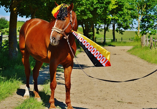 车辆安全管 车辆安全管