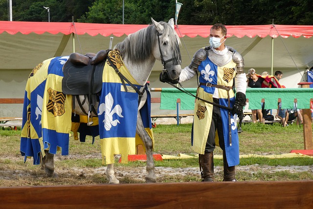 更是情感的 更是情感的