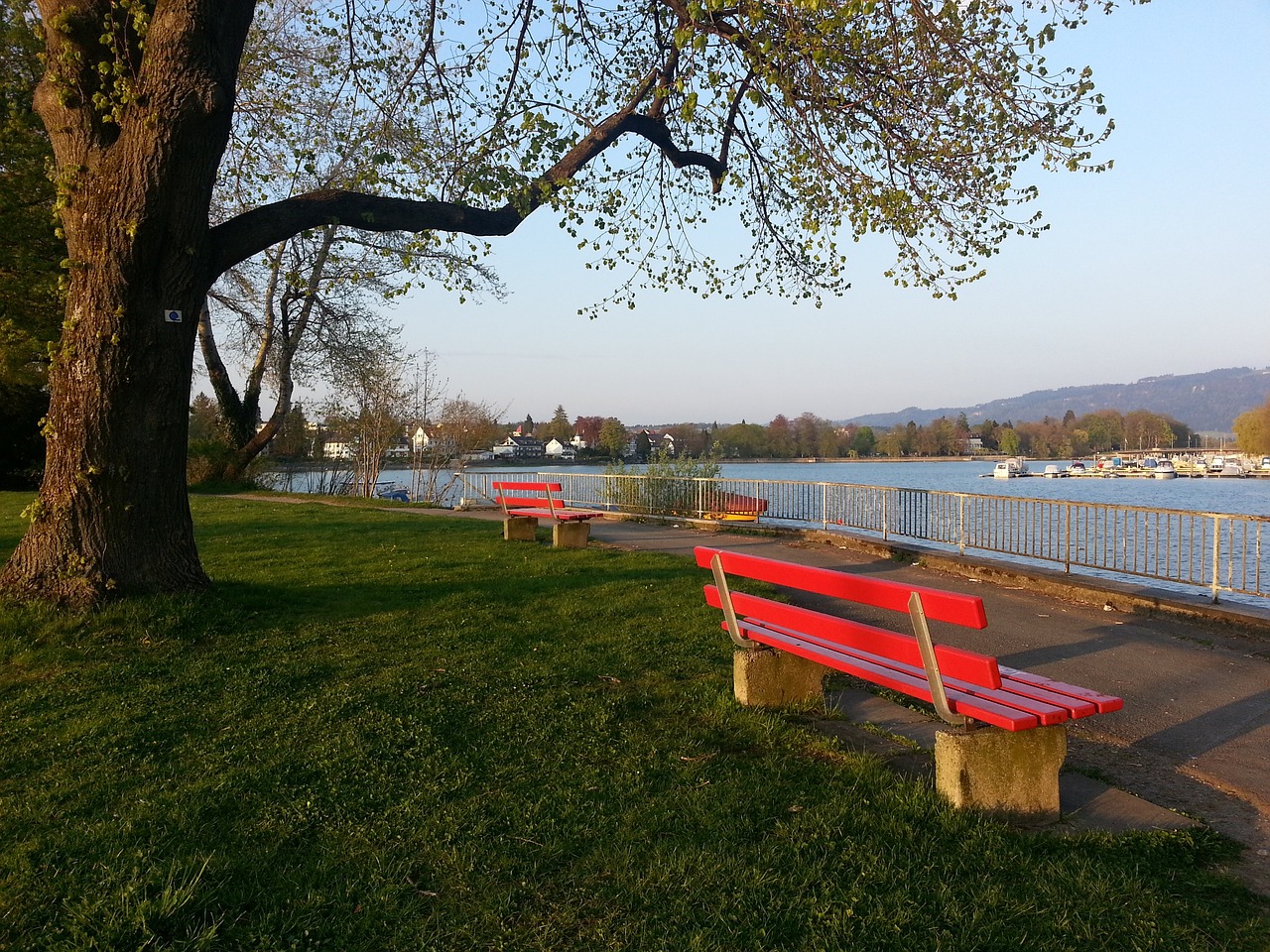 个联赛的形 个联赛的形