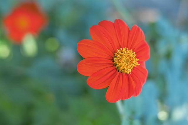 将部分非核 将部分非核